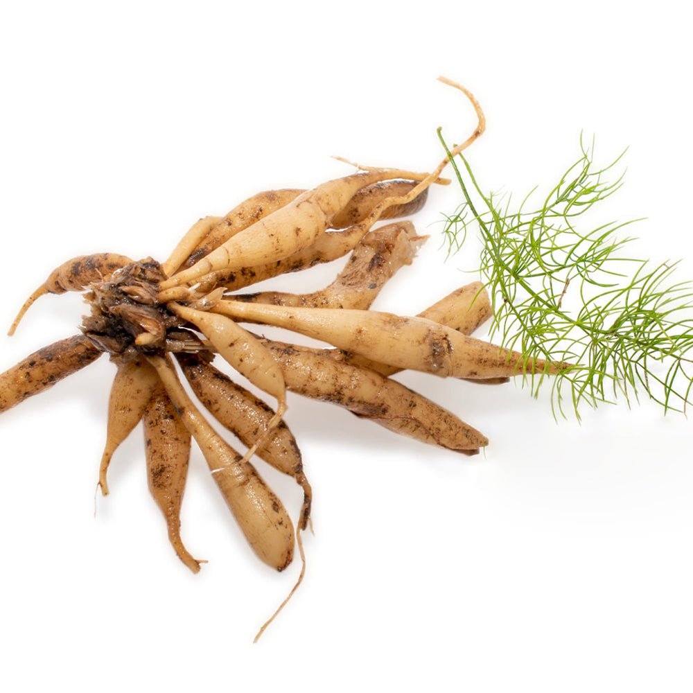 அஸ்பாரகஸ்